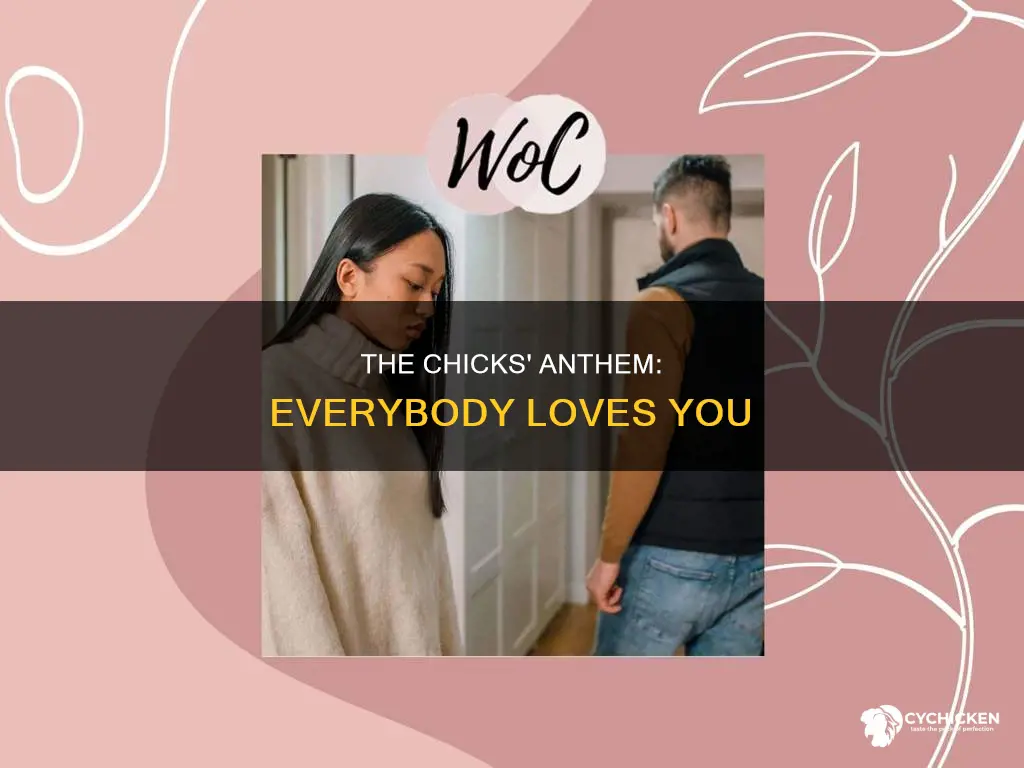 what is everybody loves you by the chicks about