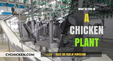 Understanding Evis: Its Role and Importance in Chicken Processing Plants