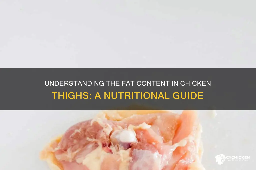what is fat on a chicken thight