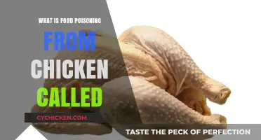 Understanding Campylobacteriosis: The Common Food Poisoning from Chicken Explained
