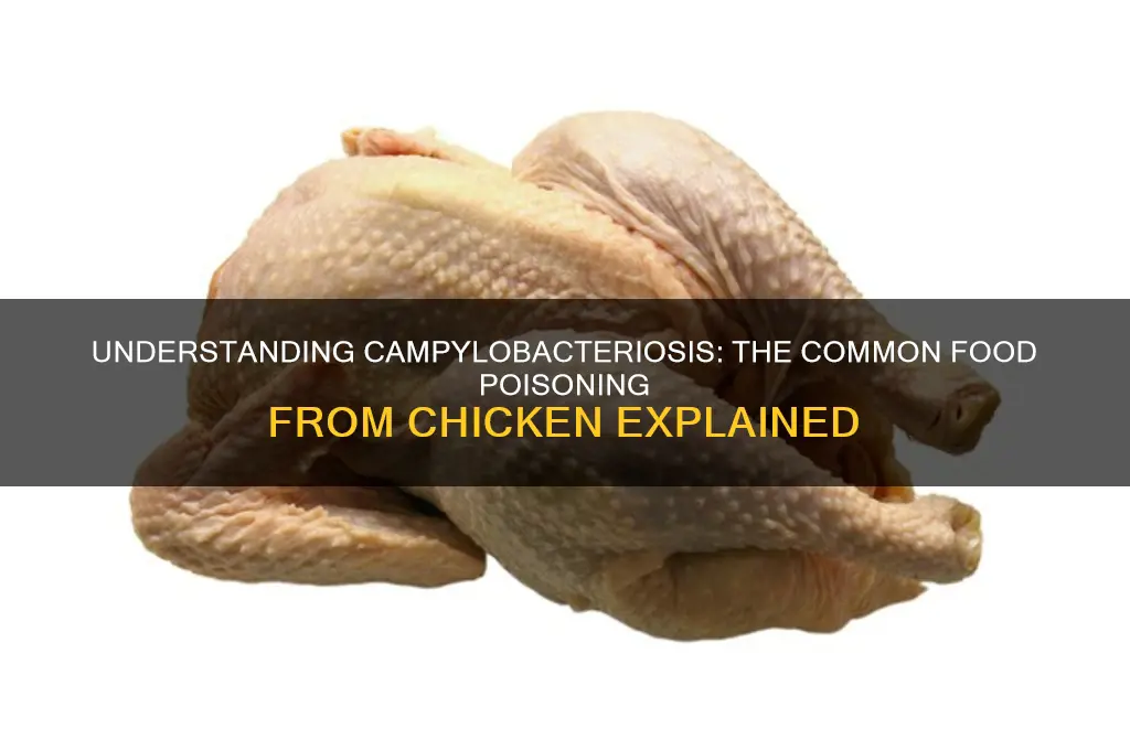 what is food poisoning from chicken called