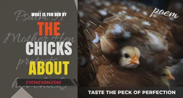 For Her by The Chicks: Unpacking the Powerful Message and Meaning