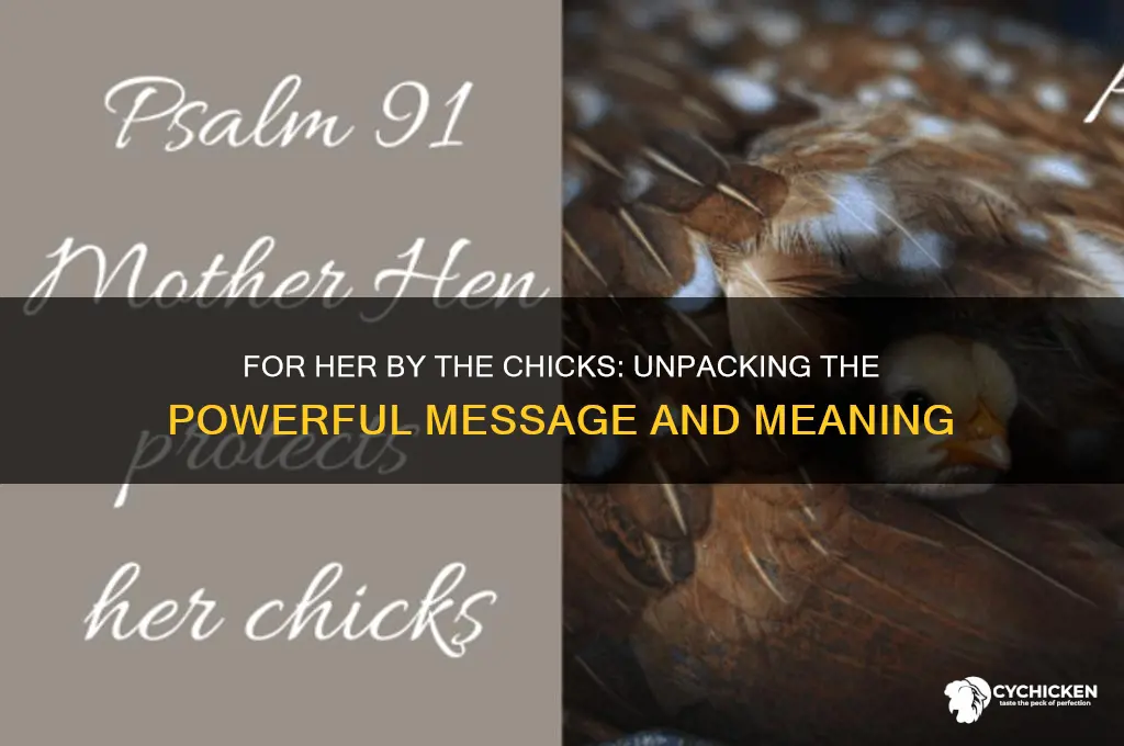 what is for her by the chicks about