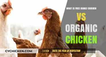 Free Range vs Organic Chicken: Understanding the Key Differences