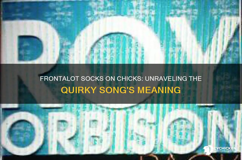 what is frontalot socks on chicks about