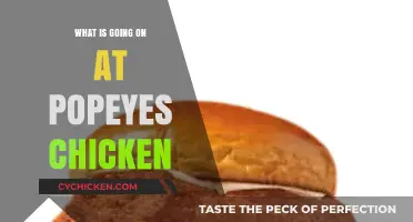 Popeyes Chicken Buzz: Unraveling the Latest Trends and Controversies