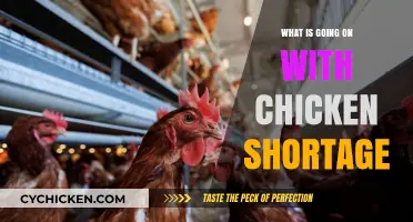 Why the Chicken Shortage is Happening and What it Means for You