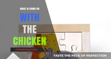 The Great Chicken Mystery: Unraveling the Latest Poultry Puzzle