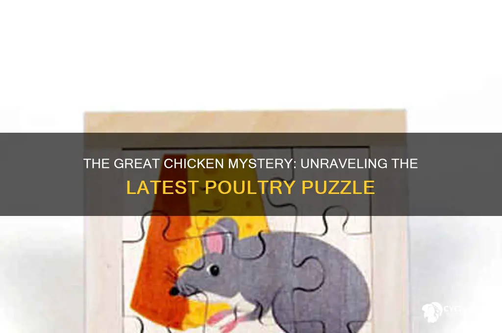 what is going on with the chicken