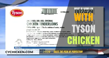 Tyson Chicken Crisis: Unraveling the Controversies and Consumer Concerns