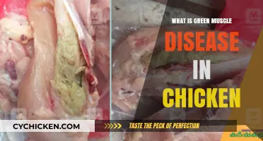 Understanding Green Muscle Disease in Chickens: Causes and Prevention