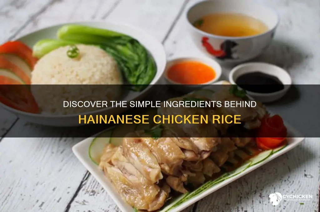 what is hainanese chicken rice made of