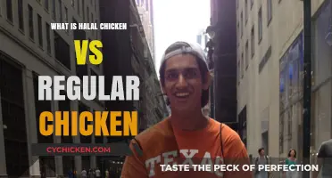 Halal Chicken vs. Regular Chicken: Understanding the Key Differences