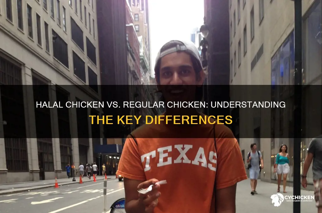 what is halal chicken vs regular chicken