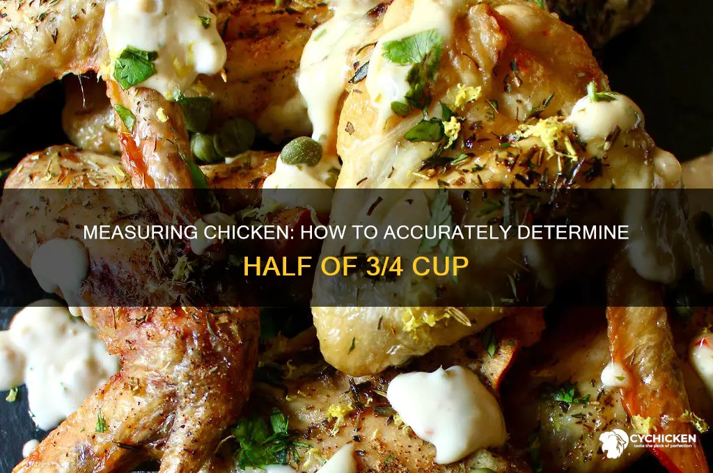 what is half of 3 4 cup chicken