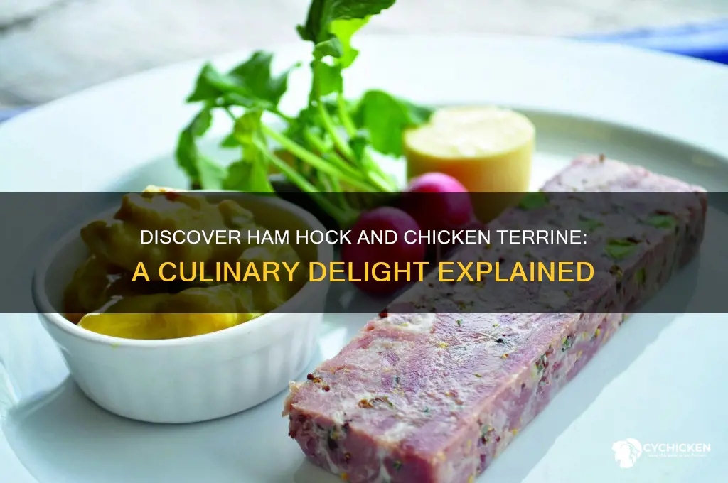 what is ham hock and chicken terrine