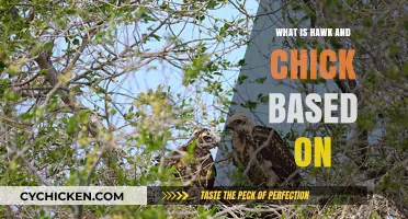 Unveiling the Origins: What is Hawk and Chick Based On?