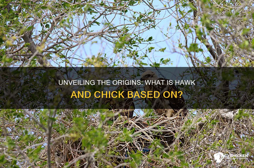 what is hawk and chick based on