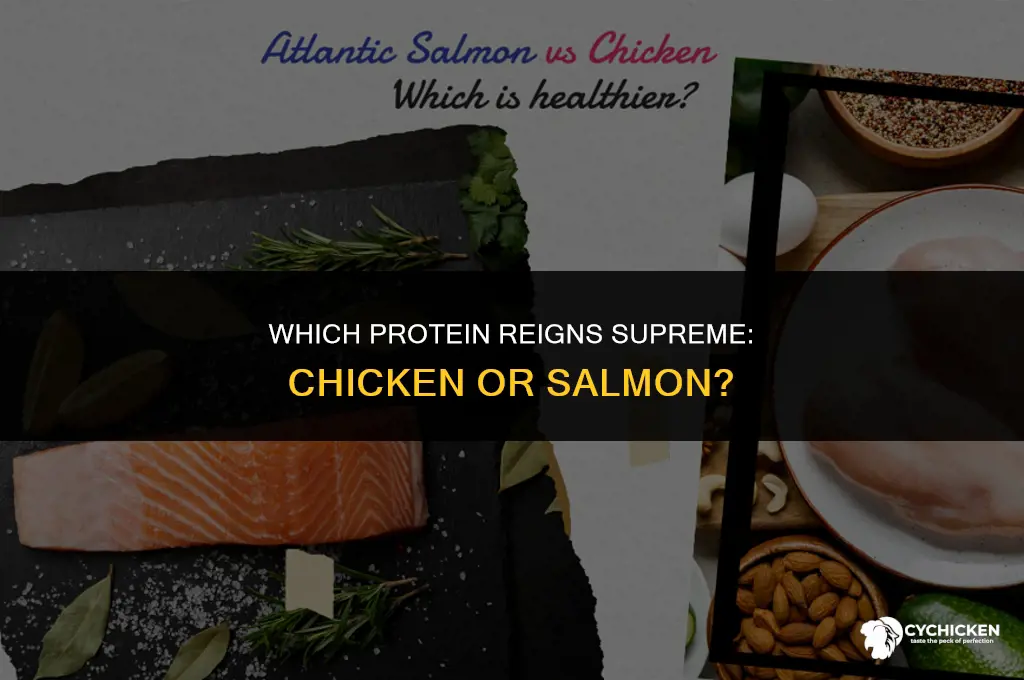 what is healthier chicken or salmon