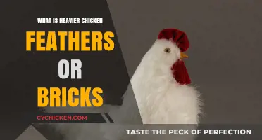 Chicken Feathers vs. Bricks: Unraveling the Weighty Truth