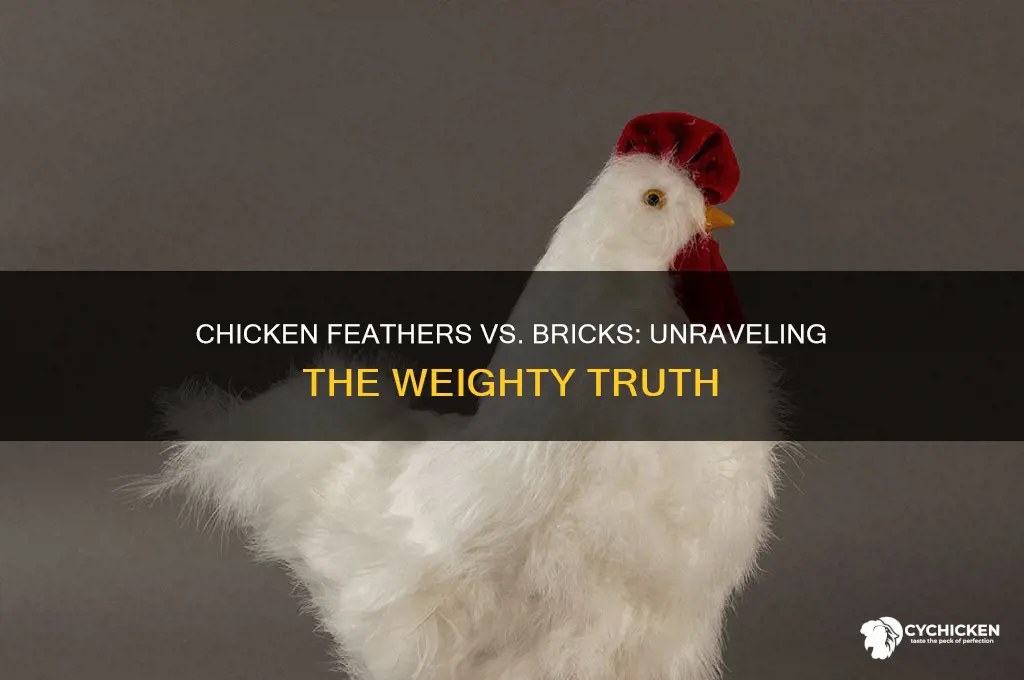 what is heavier chicken feathers or bricks
