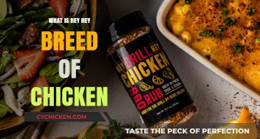 Discover the Unique Characteristics of the Hey Hey Chicken Breed