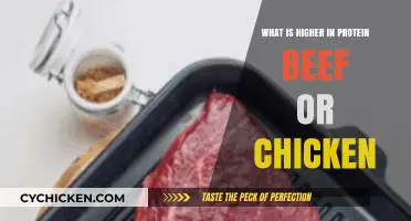 Beef vs. Chicken: Which Protein Source Packs More Punch?