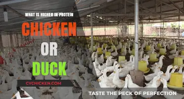 Chicken vs. Duck: Which Poultry Packs More Protein?