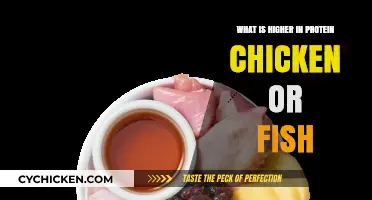 Chicken vs. Fish: Which Protein Source Packs More Punch?