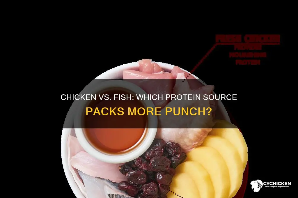 what is higher in protein chicken or fish