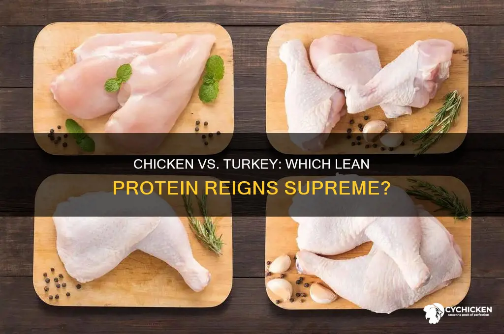what is higher in protein chicken or turkey