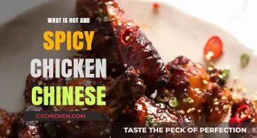 Exploring the Fiery Delight of Hot and Spicy Chinese Chicken