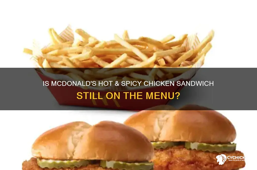 what is hot and spicy chicken sandwich still at mcdonalds