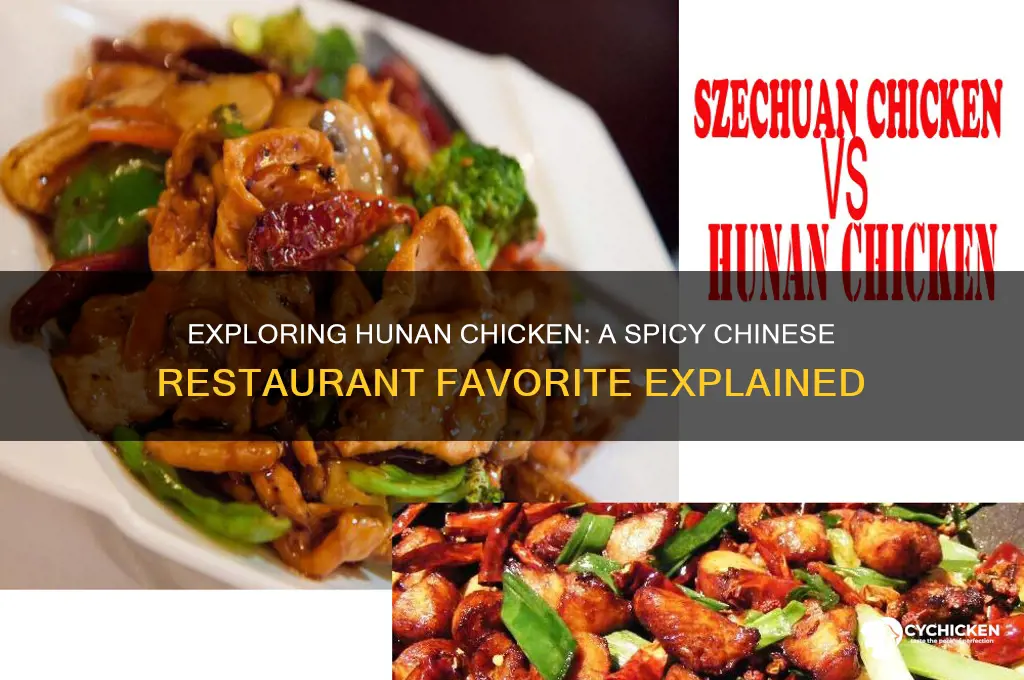 what is hunan chicken at a chinese restaurant