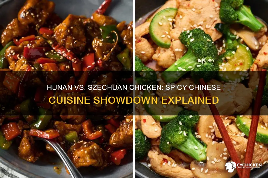 what is hunan chicken vs szechuan chicken