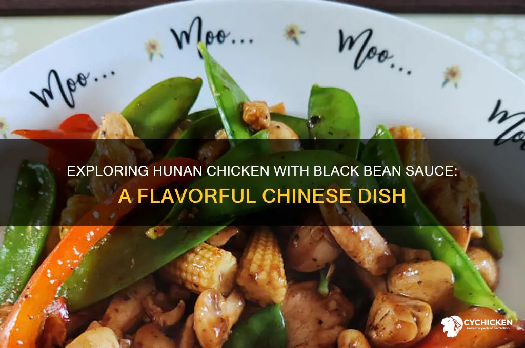 what is hunan chicken with black bean sauce