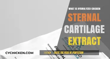 Hydrolyzed Chicken Sternal Cartilage Extract: Benefits, Uses, and Science Explained