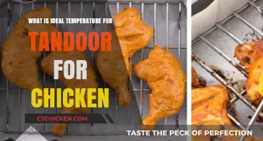 Perfect Tandoor Temperature for Juicy, Tender Chicken Every Time