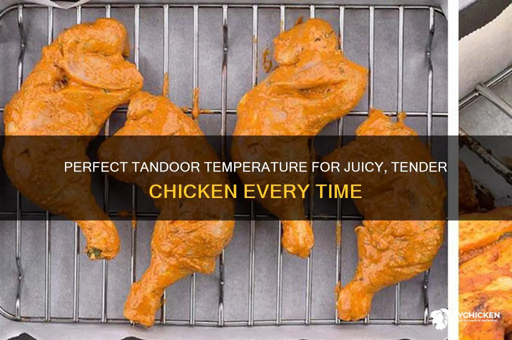 what is ideal temperature for tandoor for chicken