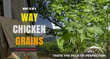 Discover the Nutritious Ingredients in 5-Way Chicken Grains Blend