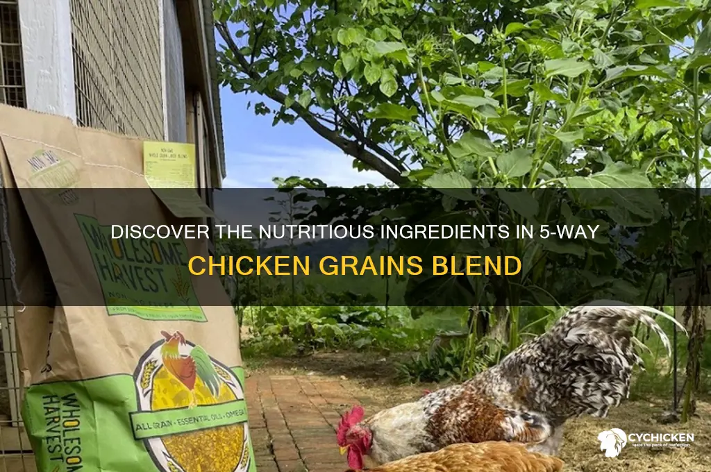 what is in 5 way chicken grains