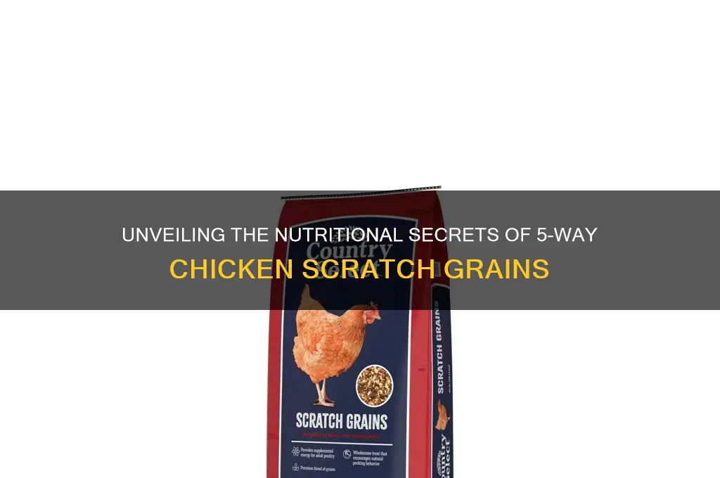 what is in 5 way chicken scratch grains