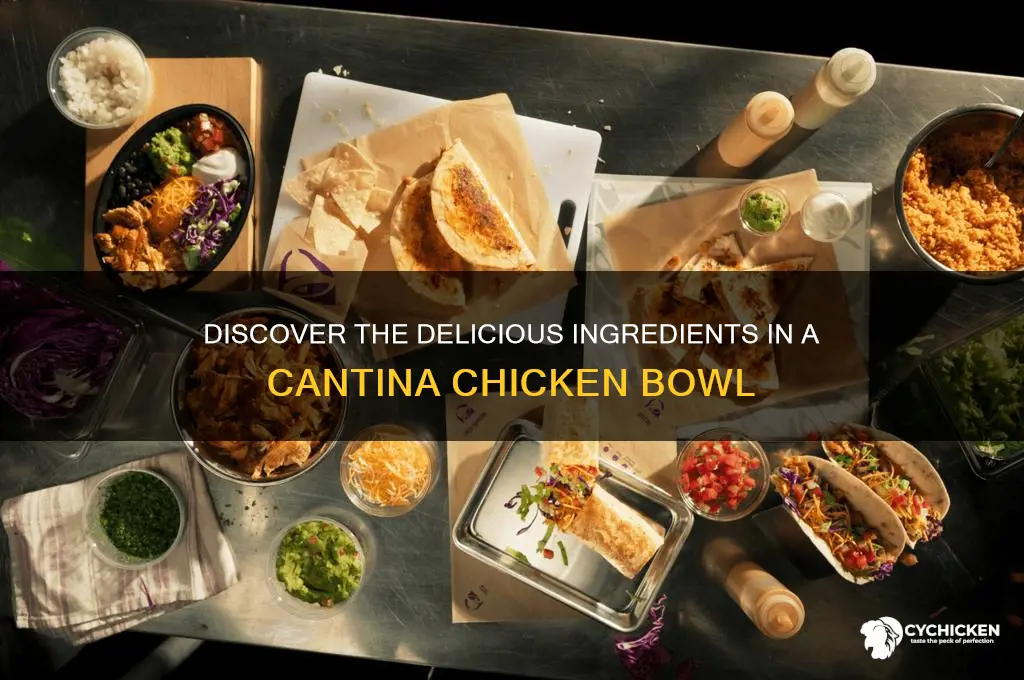 what is in a cantina chicken bowl