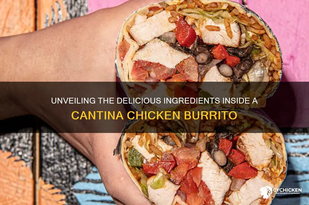 what is in a cantina chicken burrito