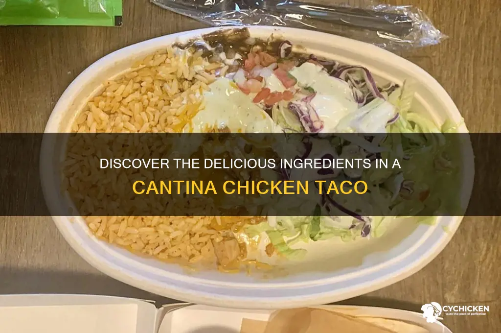 what is in a cantina chicken taco