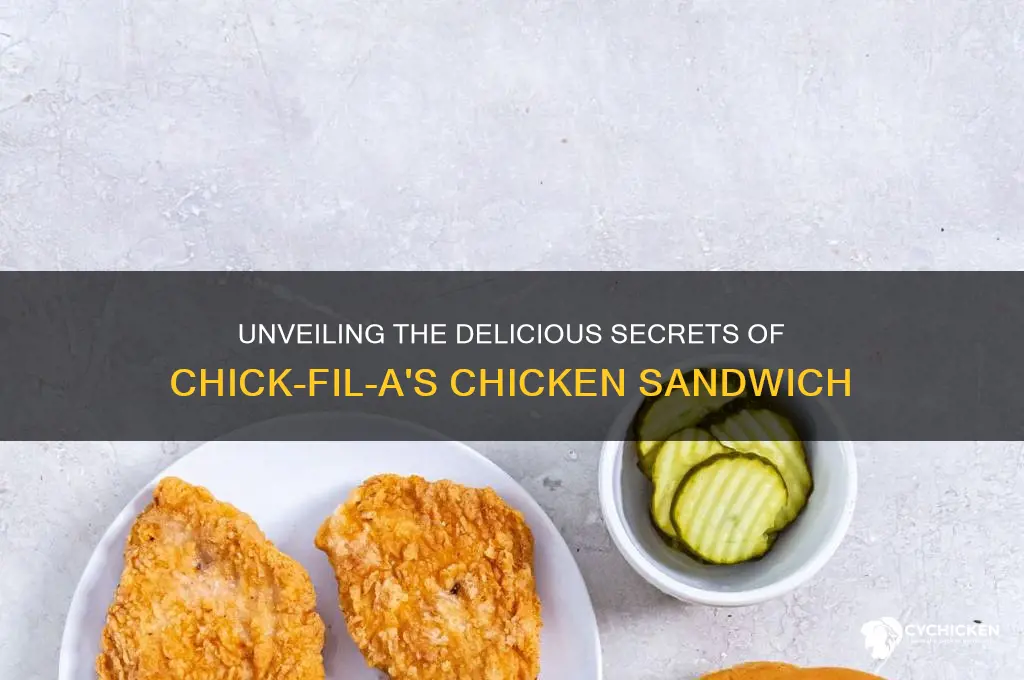 what is in a chic fillet chicken sandwich