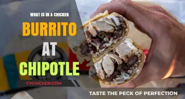 Chipotle Chicken Burrito Breakdown: Ingredients, Flavors, and Customization Tips