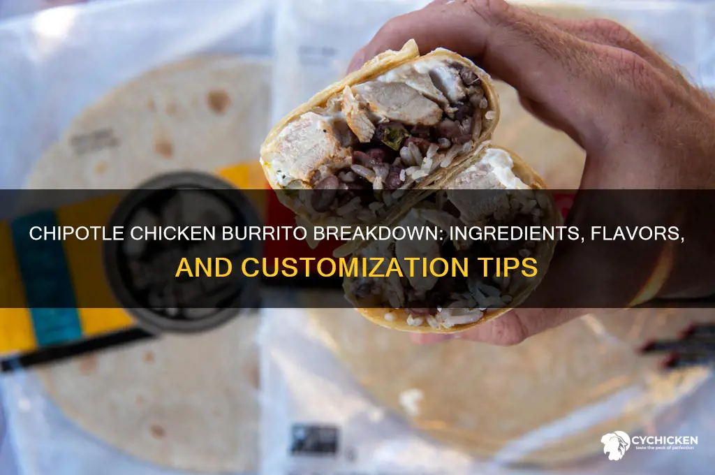 what is in a chicken burrito at chipotle
