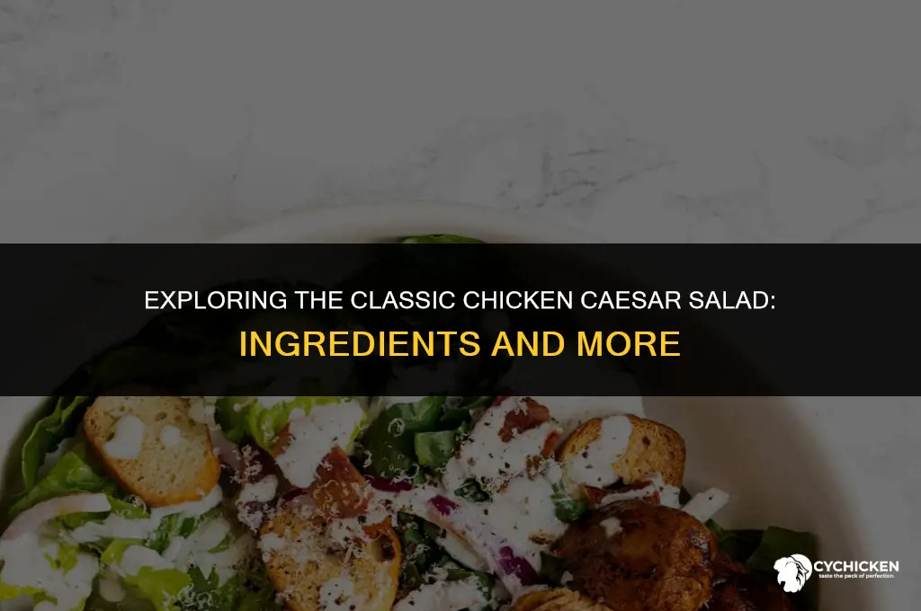 what is in a chicken caesar salad