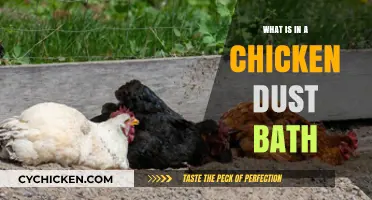 Unveiling the Secrets: What’s Inside a Chicken Dust Bath?